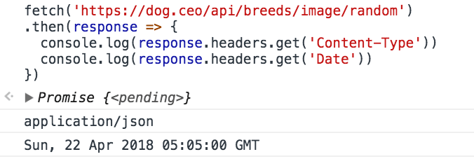 Request headers for fetch