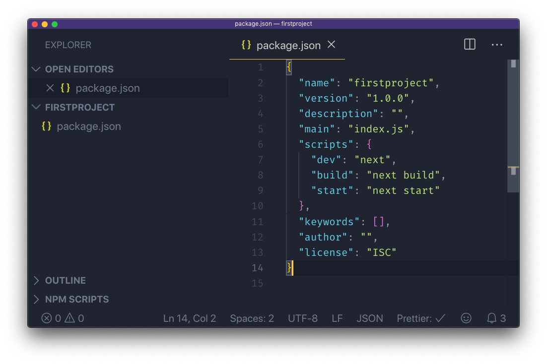 the package.json file