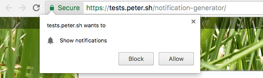 The browser permission dialogue